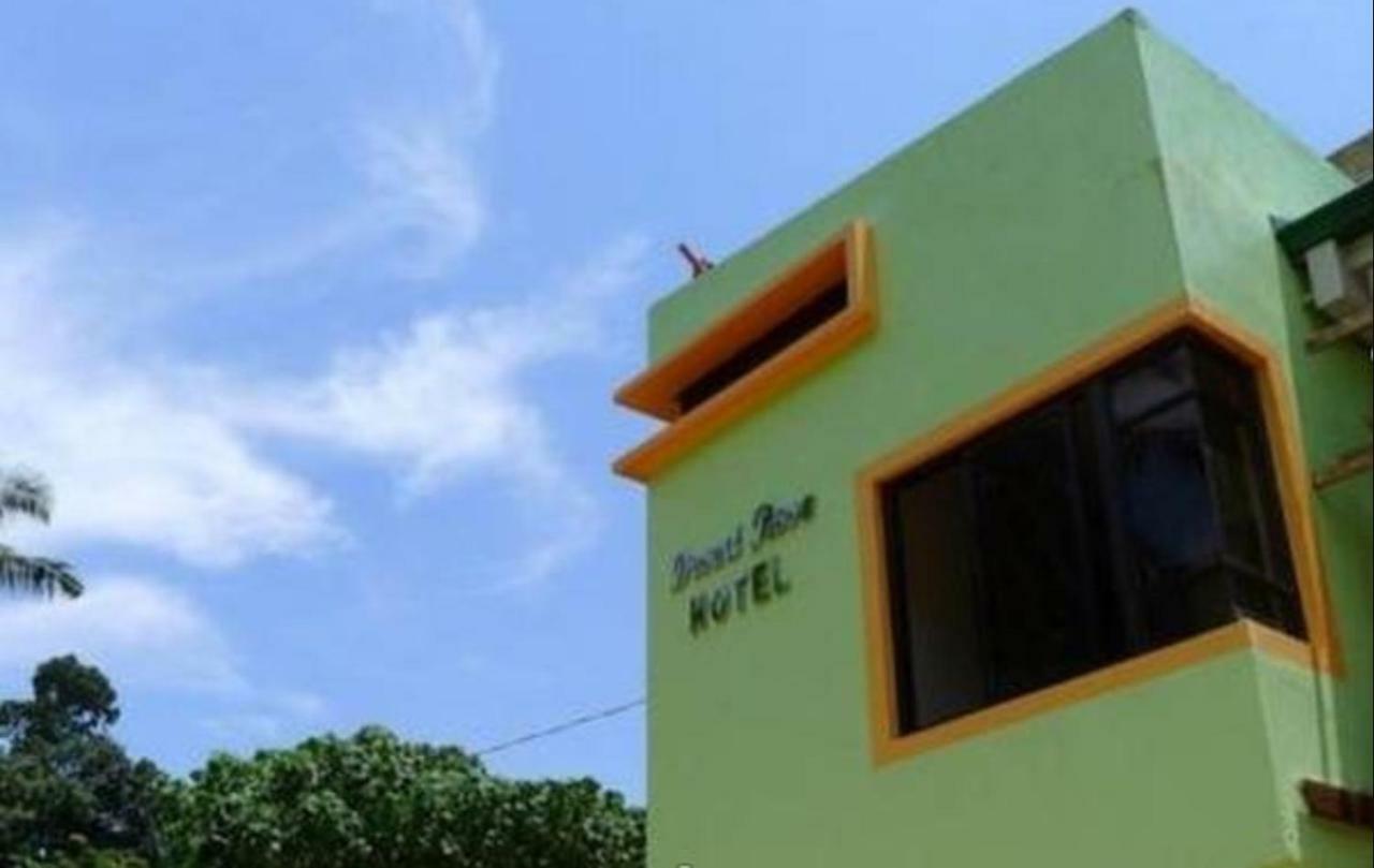 Desert Rose Hotel El Nido Eksteriør billede